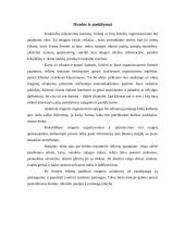 Nedidelių barų analizė Panevėžio mieste 10 puslapis