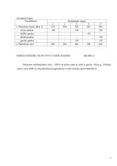 Nekilnojamojo turto objekto vertinimas 12 puslapis