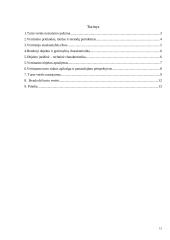 Nekilnojamojo turto objekto vertinimas 16 puslapis