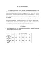 Nekilnojamojo turto objekto vertinimas 10 puslapis