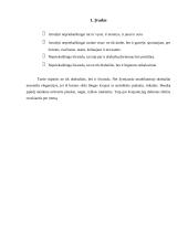 Nepriekaištinga išvaizda 3 puslapis