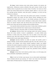 Nepriekaištinga išvaizda 6 puslapis