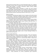 Nuo prekės ženklo vertės iki kliento vertės 6 puslapis