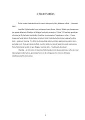 Olandijos geografija ir ekonomika 6 puslapis