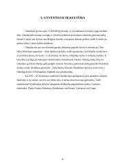 Olandijos geografija ir ekonomika 8 puslapis