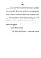 Organizacijos vadybinės veiklos analizė: Upytės Antano Belazaro pagrindinė mokykla 3 puslapis