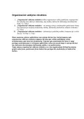 Organizacinių valdymo struktūrų raida 2 puslapis