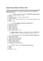 Organizacinių valdymo struktūrų raida 3 puslapis