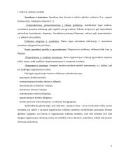 Organizavimo tobulinimas 6 puslapis