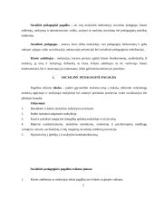 Pagalbos mokiniui Raseinių rajono Pašaltuonio pagrindinėje mokykloje modelis 2 puslapis