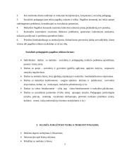 Pagalbos mokiniui Raseinių rajono Pašaltuonio pagrindinėje mokykloje modelis 3 puslapis