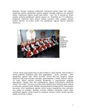 Papildomojo ugdymo situacija ir perspektyvos pradžios mokykloje 2 puslapis