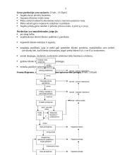 Pardavimai rinkodaroje 3 puslapis