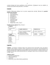 Pardavimai rinkodaroje 6 puslapis