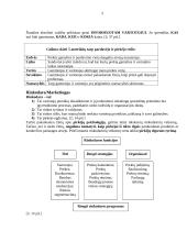 Pardavimo programos  3 puslapis