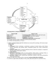 Pardavimo programos  5 puslapis