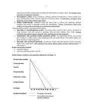 Pardavimo programos  7 puslapis