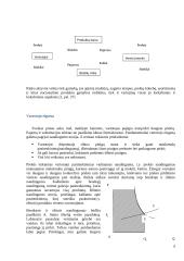 Pasirinkimo problema ekonomikoje 5 puslapis
