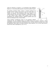 Pasirinkimo problema ekonomikoje 6 puslapis
