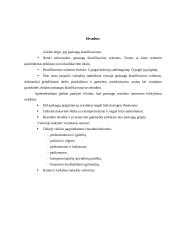 Paslaugų paketas 7 puslapis