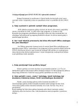 Pažintis su darbo aplinka 2 puslapis