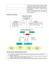 Pensijų reforma 3 puslapis