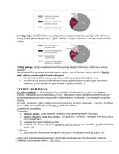 Pensijų reforma 6 puslapis