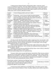 Personalo vadybos kontrolinis darbas 4 puslapis