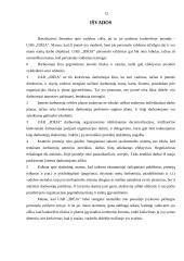 Personalo valdymo ypatybės: projektavimo darbai UAB "Idėja" 12 puslapis