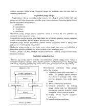 Pasaulėžiūros svarba ekonomikose 2 puslapis