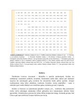 Pasaulėžiūros svarba ekonomikose 12 puslapis