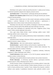 Pirminiai ir antriniai duomenys marketingo tyrime 10 puslapis