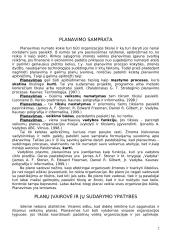Planų įvairovė 2 puslapis