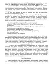 Pokalbis priimant į darbą 3 puslapis