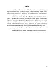 Pramogų parkų industrija ir jos plėtra Europoje ir Lietuvoje 2 puslapis