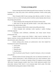 Pramogų parkų industrija ir jos plėtra Europoje ir Lietuvoje 3 puslapis