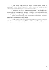 Pramogų parkų industrija ir jos plėtra Europoje ir Lietuvoje 5 puslapis