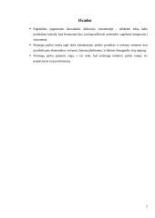 Pramogų parkų industrija ir jos plėtra Europoje ir Lietuvoje 7 puslapis