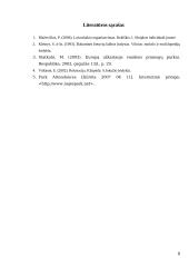 Pramogų parkų industrija ir jos plėtra Europoje ir Lietuvoje 8 puslapis