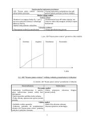 Principinis strateginis planas: AB "Kauno pieno centras" 5 puslapis