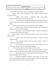 Principinis strateginis planas: AB "Kauno pieno centras" 6 puslapis