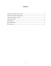 Problemos sprendimo procesas 2 puslapis