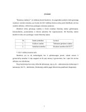 Produkto gamybos proceso valdymo praktika organizacijoje  2 puslapis