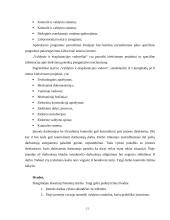 Produkto gamybos proceso valdymo praktika organizacijoje  12 puslapis