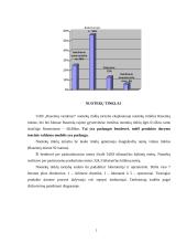 Produkto gamybos proceso valdymo praktika organizacijoje  3 puslapis