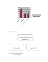 Produkto gamybos proceso valdymo praktika organizacijoje  4 puslapis