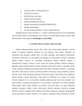 Produkto gamybos proceso valdymo praktika organizacijoje  5 puslapis