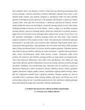 Produkto gamybos proceso valdymo praktika organizacijoje  6 puslapis