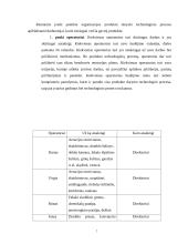 Produkto gamybos proceso valdymo praktika organizacijoje  7 puslapis