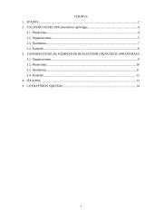 Produkto darymo proceso valdymo praktika: UAB "Sintegra" 2 puslapis